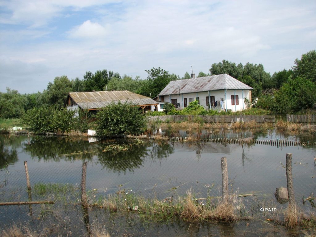 Bigea Magdalena Luisiana