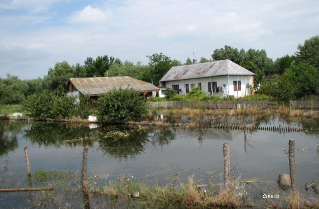 Bigea Magdalena Luisiana