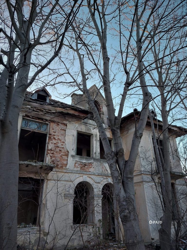 Ediția 2022 – fotografia 8