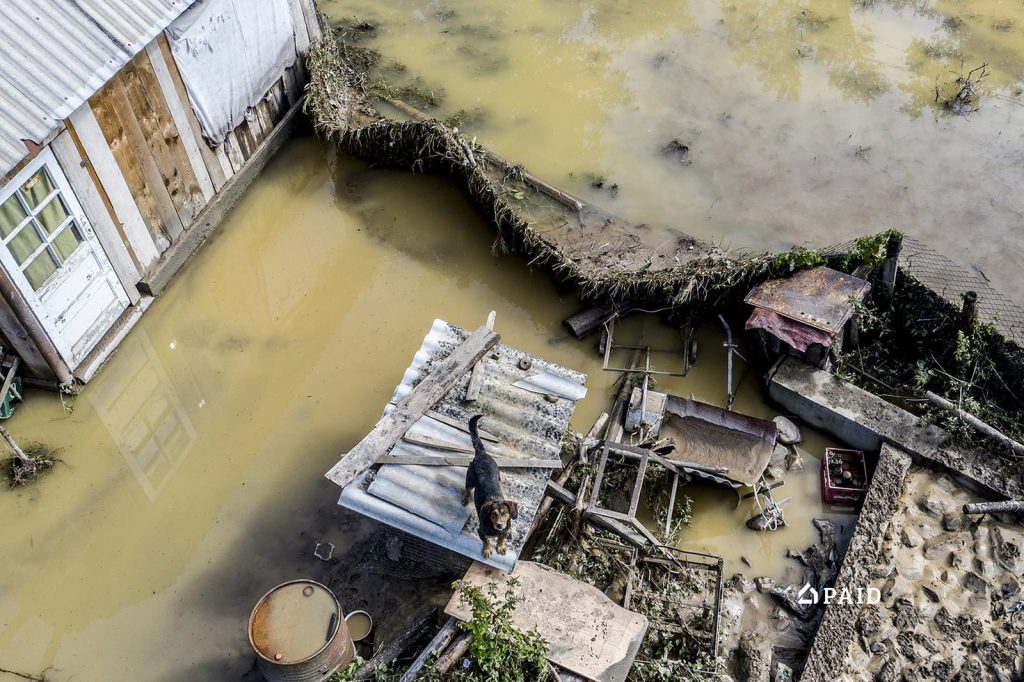 When the Levee Breaks – inundații în județele Bihor și Alba
